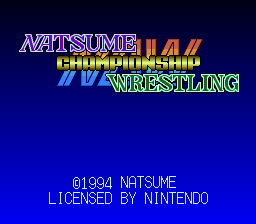 Natsume Championship Wrestling screenshot 3 for Super Nintendo